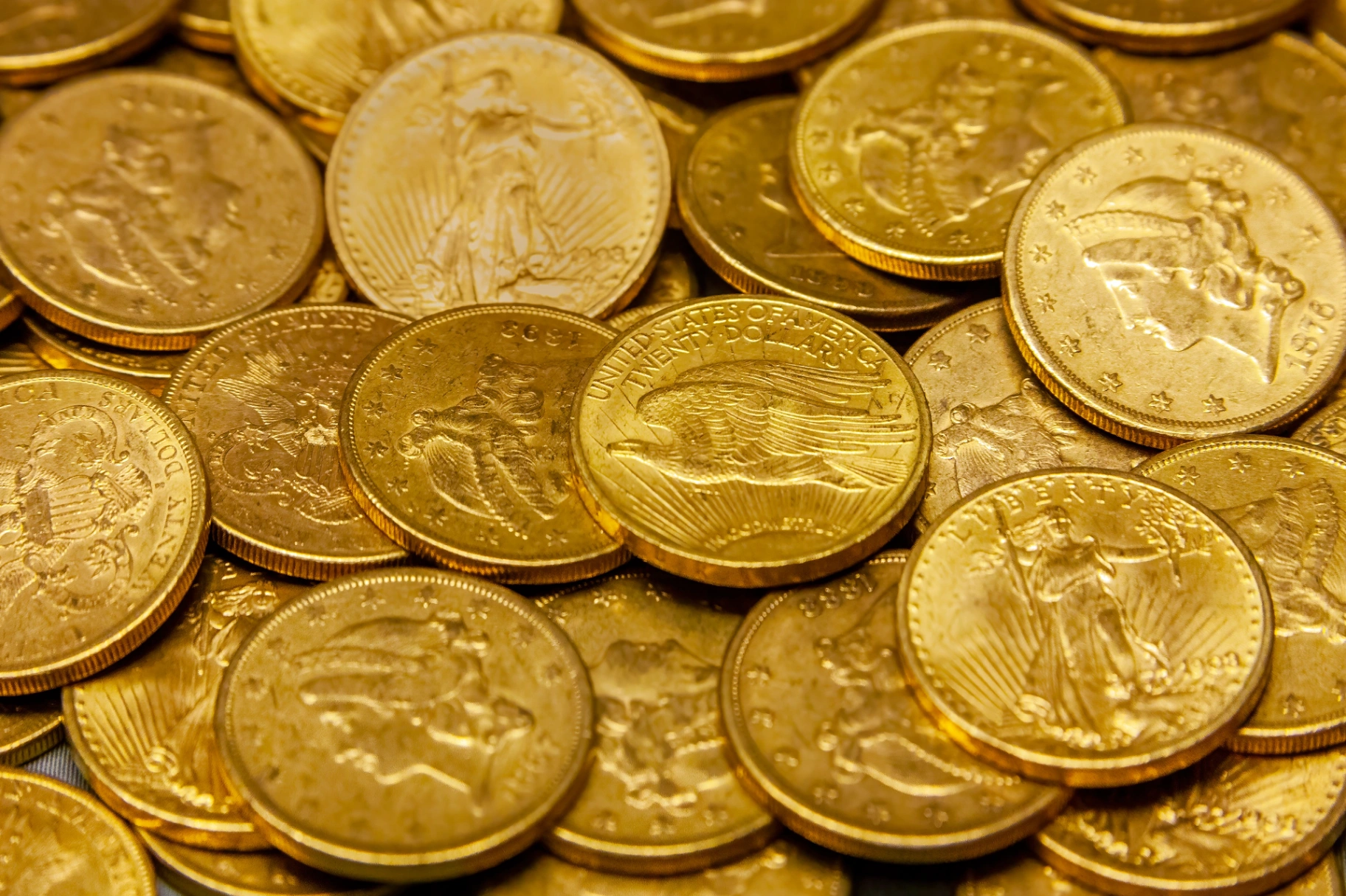 Tampa Coin Buyers — coin shop photo