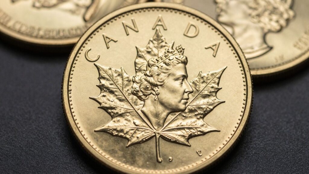 Gold Maple Leaf coin detail